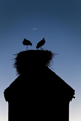 Gallery - Dar Les Cigognes