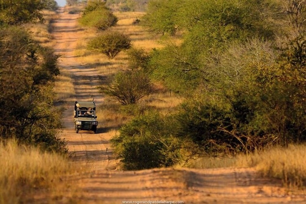Gallery - Rhino Walking Safaris