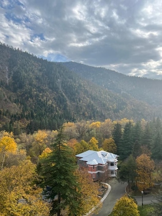 Gallery - Borjomi Likani Health & Spa Centre
