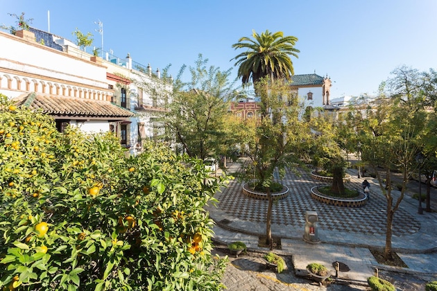 Gallery - Plaza De Los Refinadores