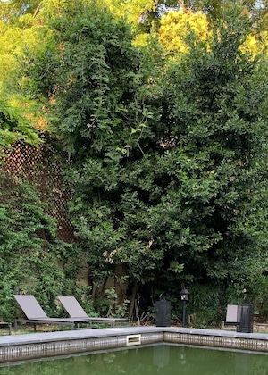 Gallery - Fauno Urban Resort