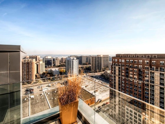 Gallery - Bluebird Suites In Pentagon City
