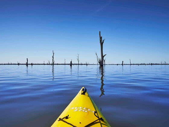 Gallery - The Sebel Yarrawonga Silverwoods