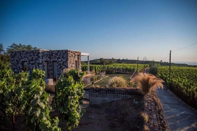Gallery - Castellaro Wine Resort