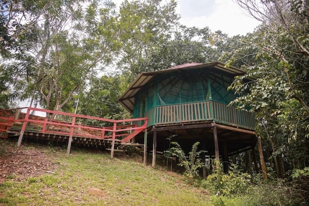 Gallery - Amazonia Jungle Hotel