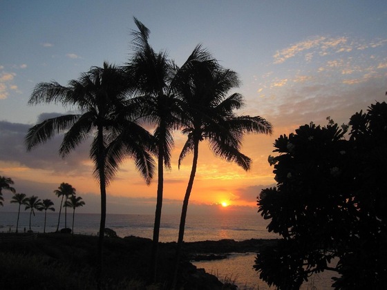 Gallery - Kapalua Bay Villa 28B2 Gold Ocean Front