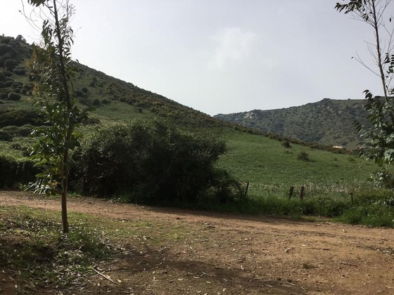Gallery - Camping Du Soleil