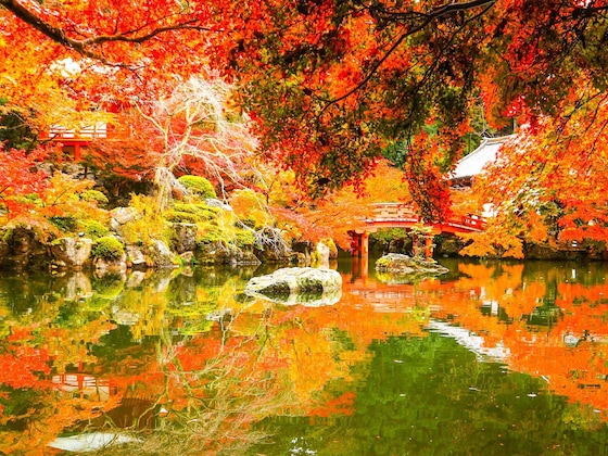 Gallery - Eph Kyoto
