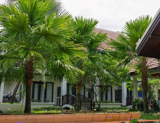 Gallery - Sunrise Garden House