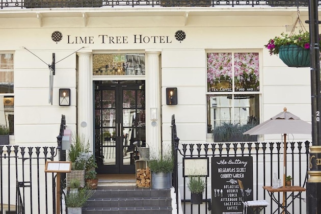 Gallery - Room Mate Lime Tree