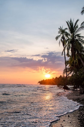 Gallery - Hotel Vive Uvita