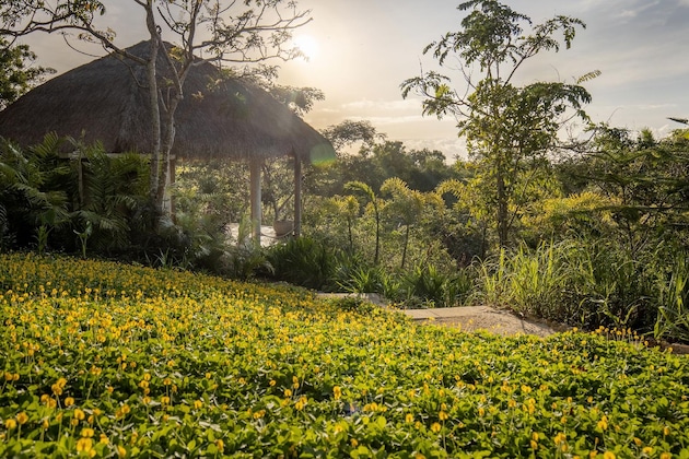 Gallery - The Mesare Resort