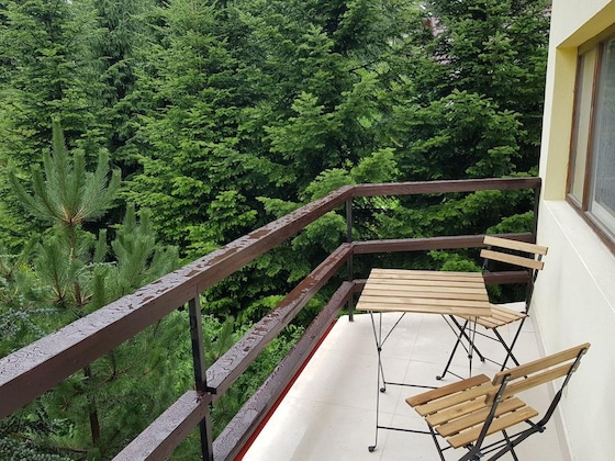 Gallery - Olala Forest Apartments