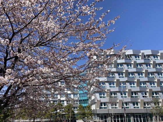 Gallery - Sokcho Marina Bay Hotel