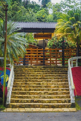 Gallery - Hotel Colibri