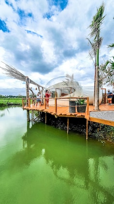 Gallery - Green Land Bubble Glamping