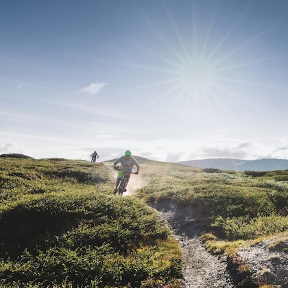 Gallery - Highland Lodge Fjellandsby