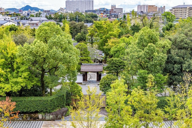 Gallery - Hotel Indigo Inuyama Urakuen Garden By Ihg