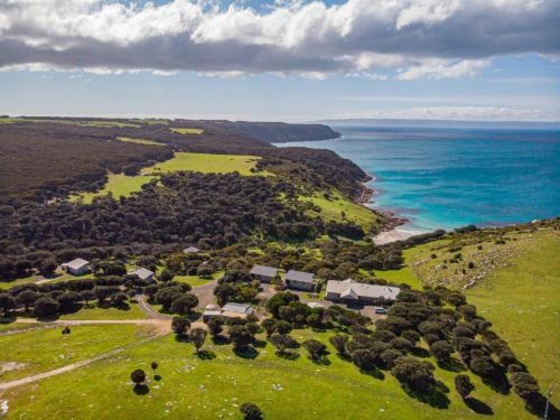 Gallery - Sea Dragon Kangaroo Island