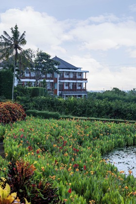 Gallery - Swan Paradise A Pramana Experience