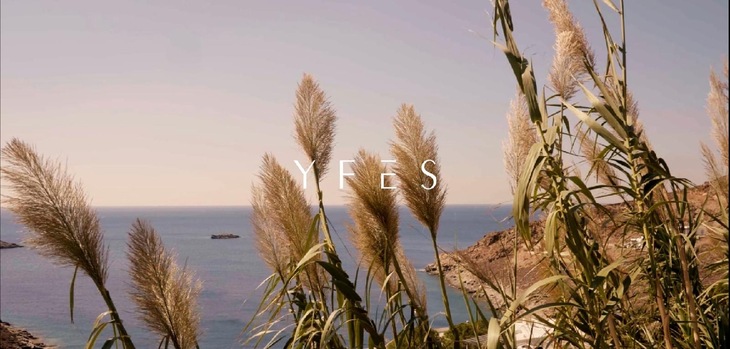 Gallery - Yfes