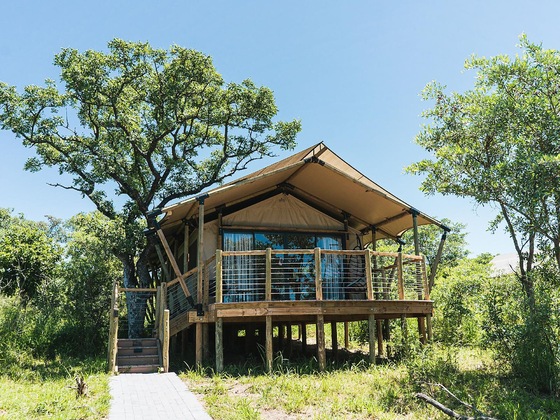 Gallery - Mdluli Safari Lodge