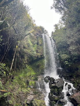 Gallery - Te Karaka Lodge