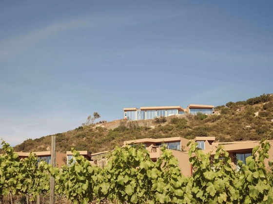 Gallery - Banyan Tree Veya Valle De Guadalupe