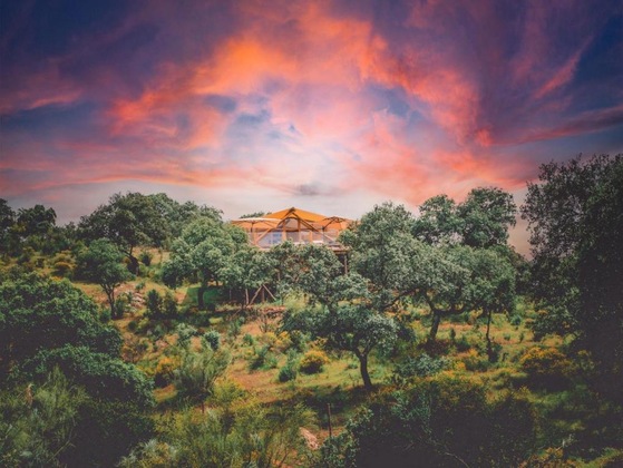 Gallery - La Dehesa Experiences