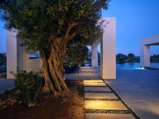 Gallery - Monogram Travel Antiparos