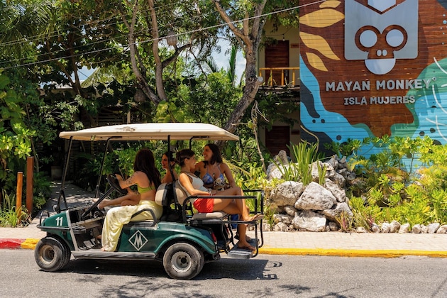 Gallery - Mayan Monkey Isla Mujeres | Social Hotel