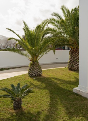 Gallery - Tzanis Resort