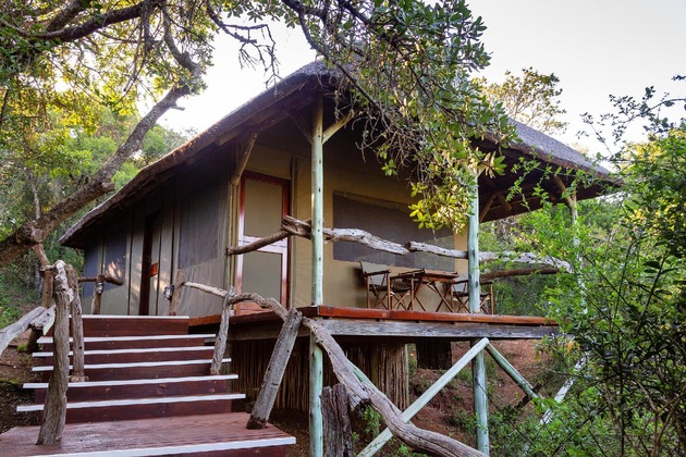 Gallery - Lalibela Tree Tops Safari Lodge