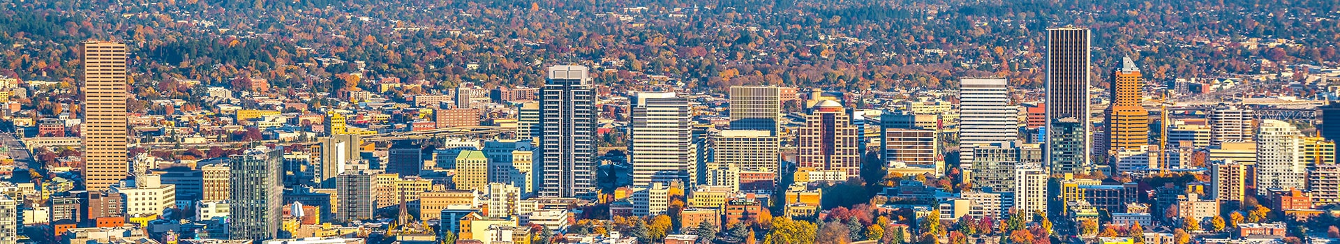 Amsterdam - Portland