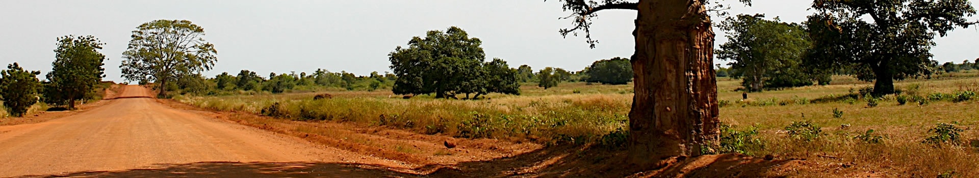 Gambia