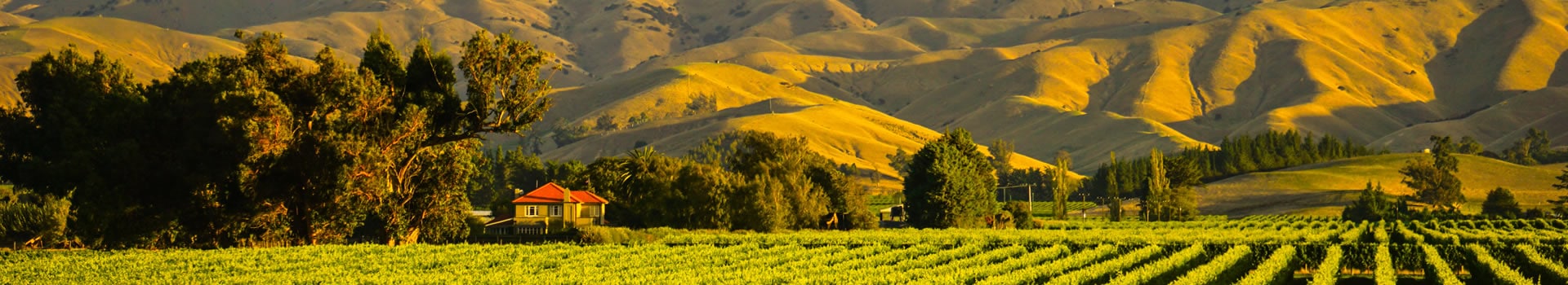 New Zealand