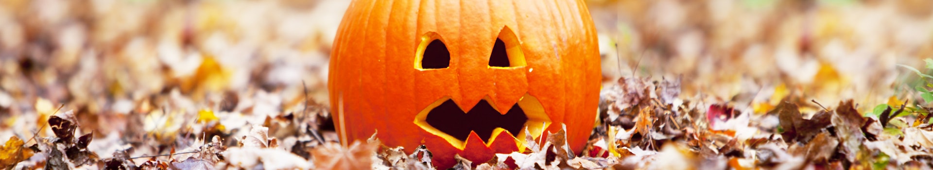 Book during Halloween