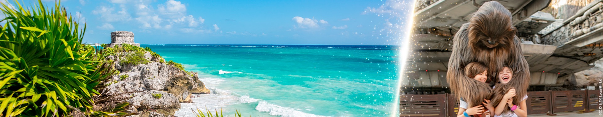 Walt Disney World Orlando and Riviera Maya