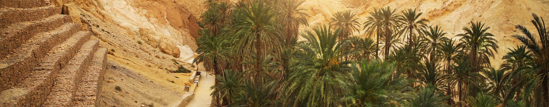 Route through Oases, Sea and Dunes