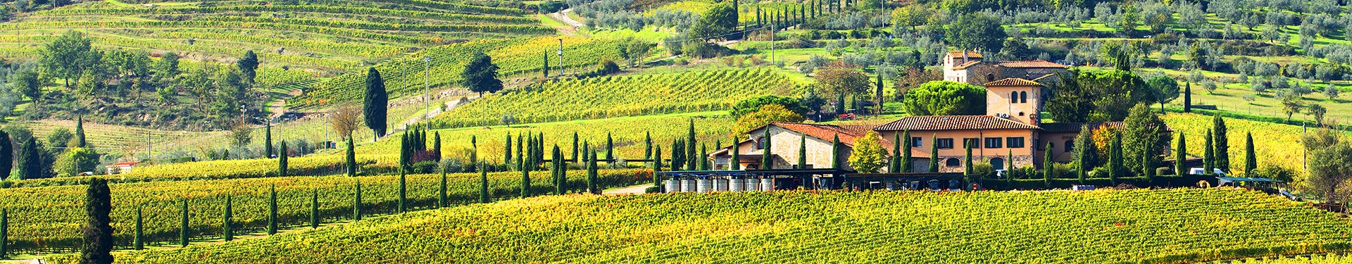Tuscany Route, from Florence to Siena