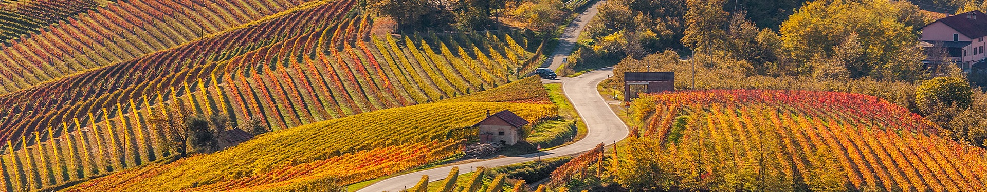 Route through the House of Savoy's Piedmont Region