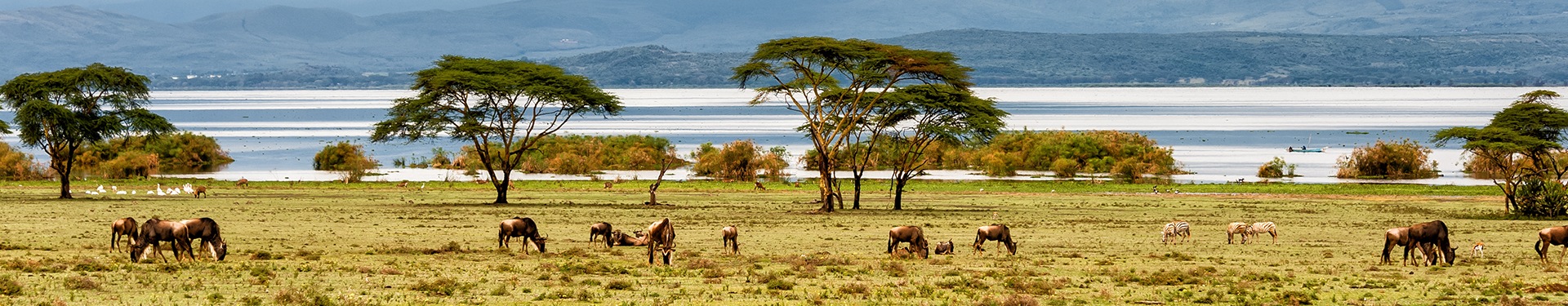 Masai Mara, Naivasha and Amboseli with Mauritius