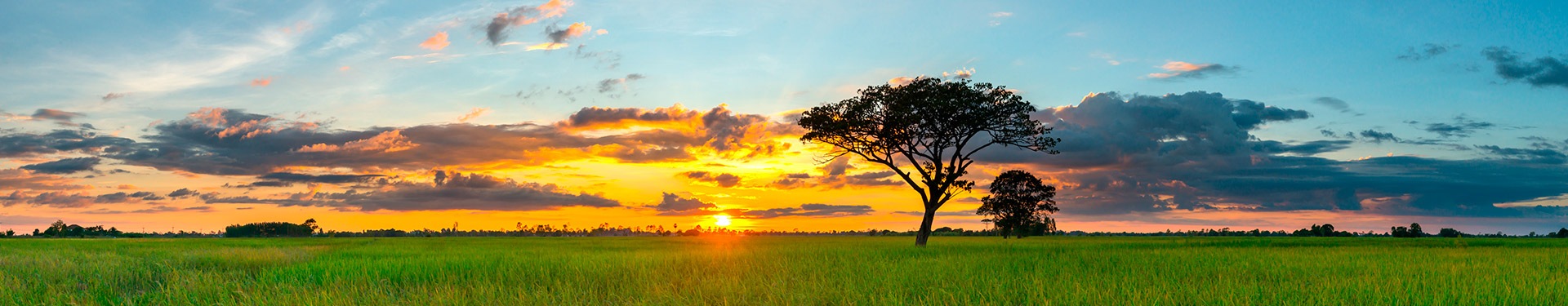Masai Mara, Naivasha and Amboseli with Zanzibar