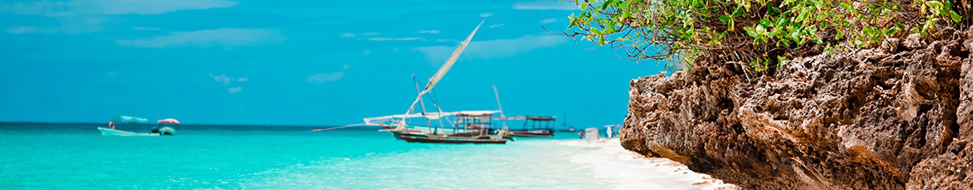 Safari in Tanzania and Zanzibar