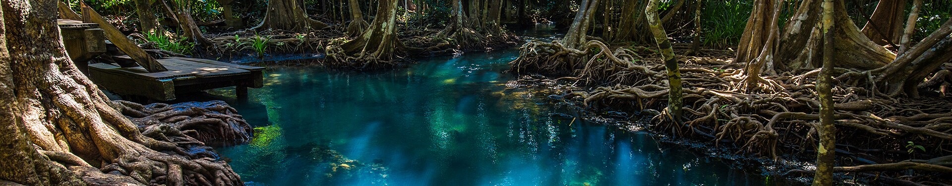 From Bangkok to Northern Thailand and Krabi