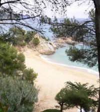 Cala Treumal