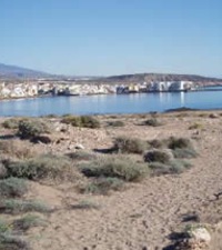 Playa El Médano 