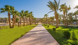 Calimera Blend Paradise