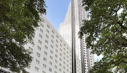 The Whitehall Houston