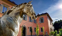 Hotel Ville sull'Arno